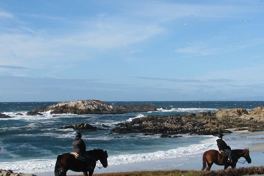 Tour image 8